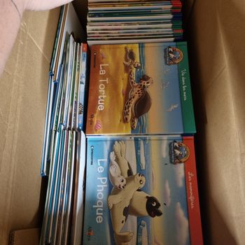 Livre enfant sur les animaux bien lire l annonce