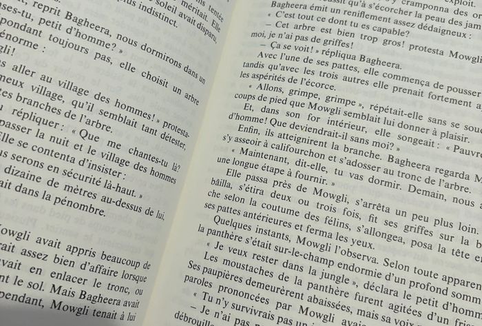 Livre « le livre de la jungle » édition collector de 1969 - photo numéro 5