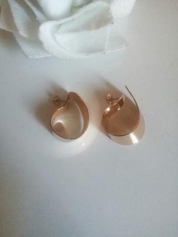 🌸Créoles acier doré lisse "Emma & Cloe" 🌸