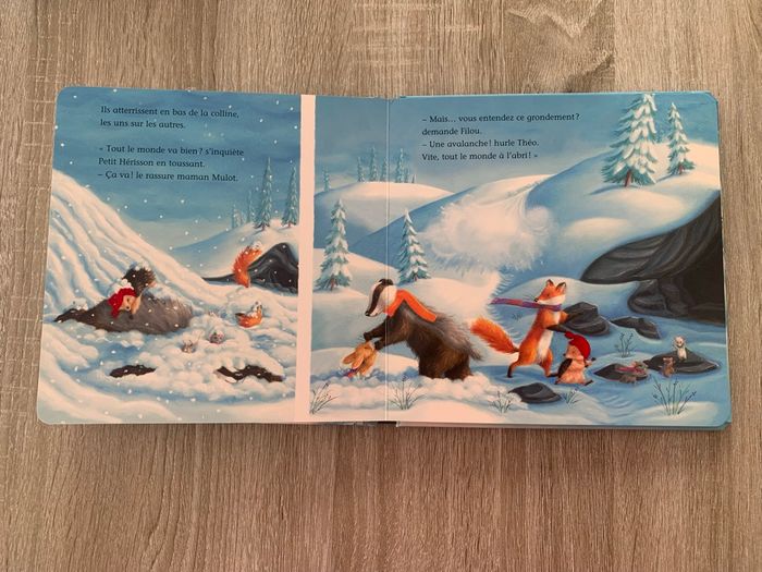 Petit Hérisson et l’aventure de Noël - photo numéro 3