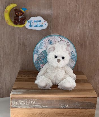 BK79 doudou ours 🐻Bukowski