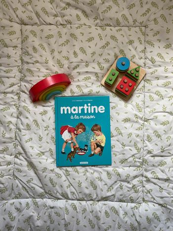 livre Martine à la maison édition casterman