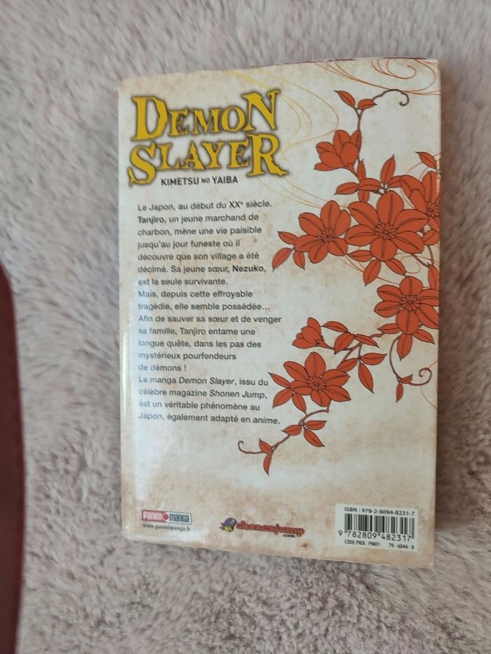 Manga demon slayer - photo numéro 2