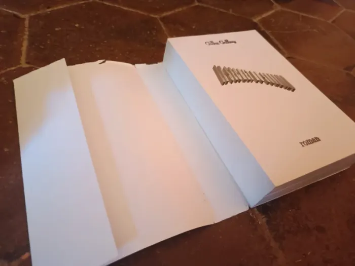 Livre le secret du Sunbird - photo numéro 6