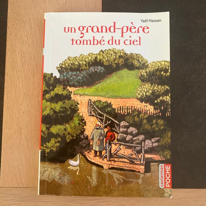 Un grand-père tombé du ciel