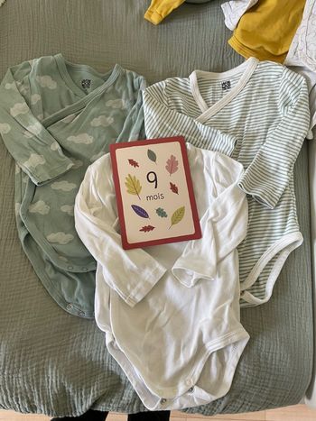 Lot 3 bodies La Redoute 9 mois