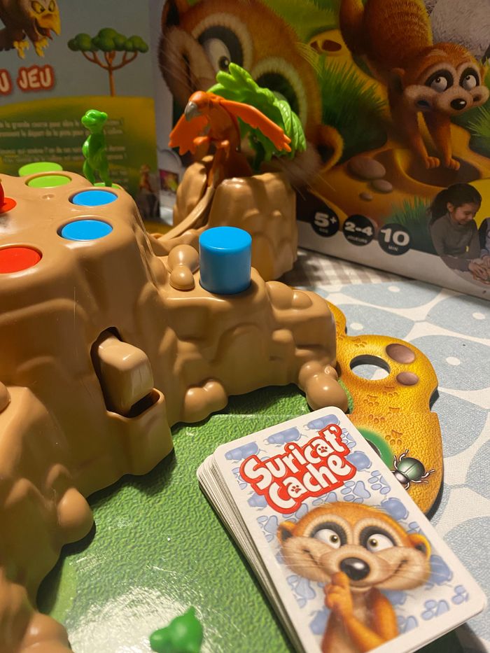 Suricat cache - photo numéro 3