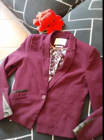 Veste tailleur prune TL