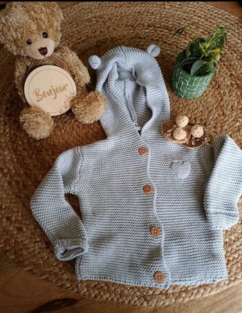 Gilet capuche