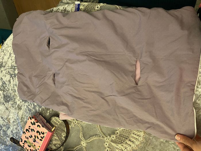 Nid d’ange - photo numéro 5