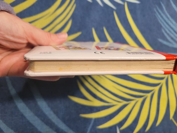 Livre p'tit mickey pompier disney - photo numéro 10