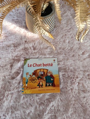 Livre le chat beauté
