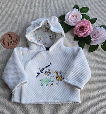 Sweat bébé avec capuche 3 mois In Extenso très bon état
