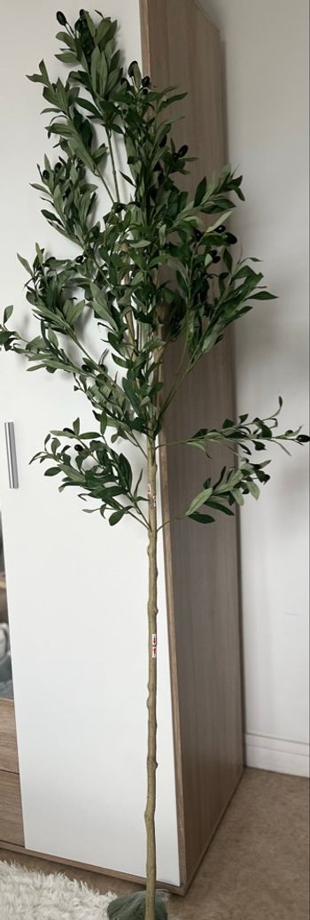 Olivier artificiel 180 cm – plante décorative réaliste 🌿