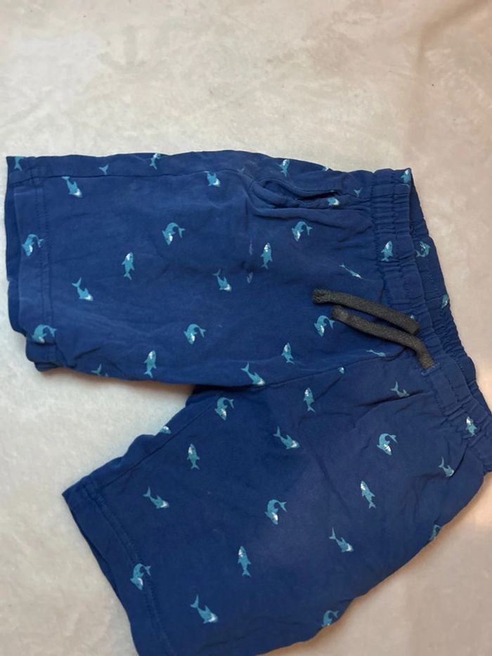 Short requin - photo numéro 4