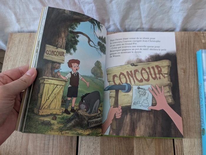 Lot livres Disney - Édition France Loisirs - photo numéro 9