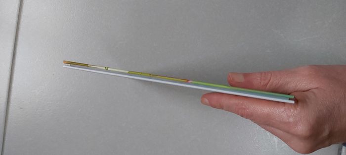 Chasse au trésor en Sologne - photo numéro 4