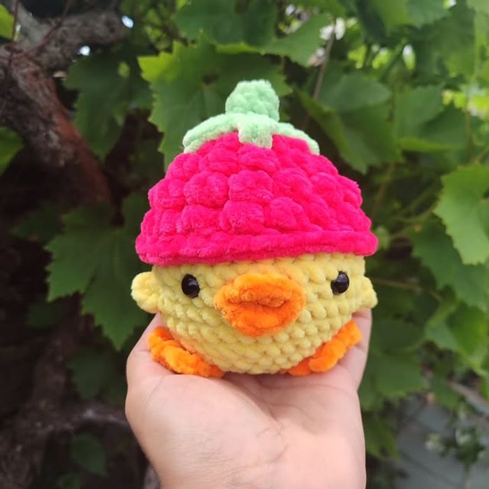 Framby 🍰 – Poussin au Chapeau-Framboise