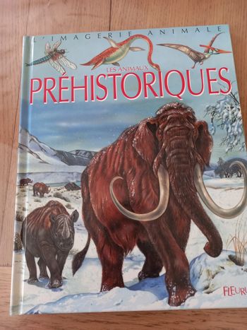 La grande imaginerie