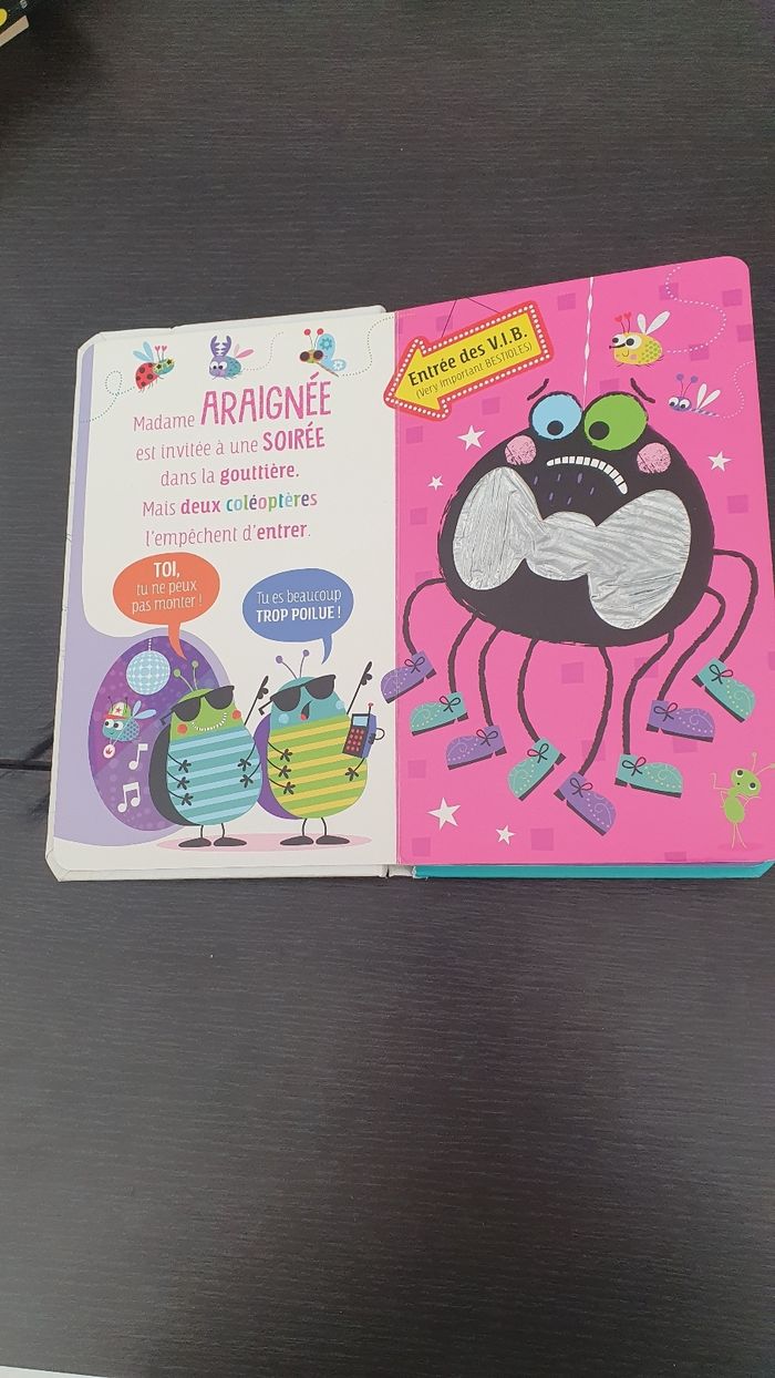 L'araignée trop poilue - photo numéro 3