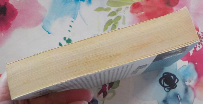 Délit d'innocence de Lynn Erickson Harlequin Best Sellers n°101 - photo numéro 4