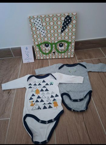Lot 2 bodies 3 mois