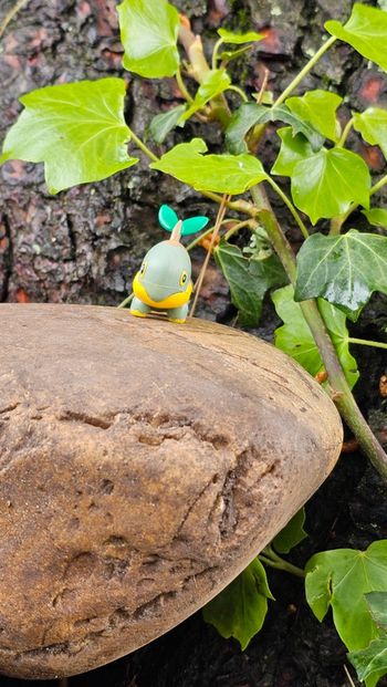 Super figurine Pokemon Nintendo tortipouss