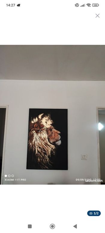 Cadre lion