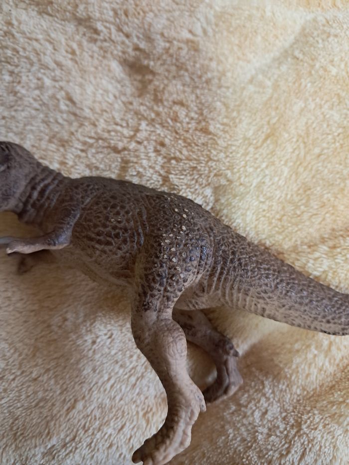 Lot de 2 tyrannosaures - photo numéro 4