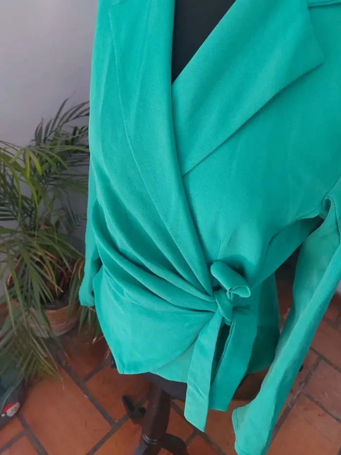 Blazer - photo numéro 4