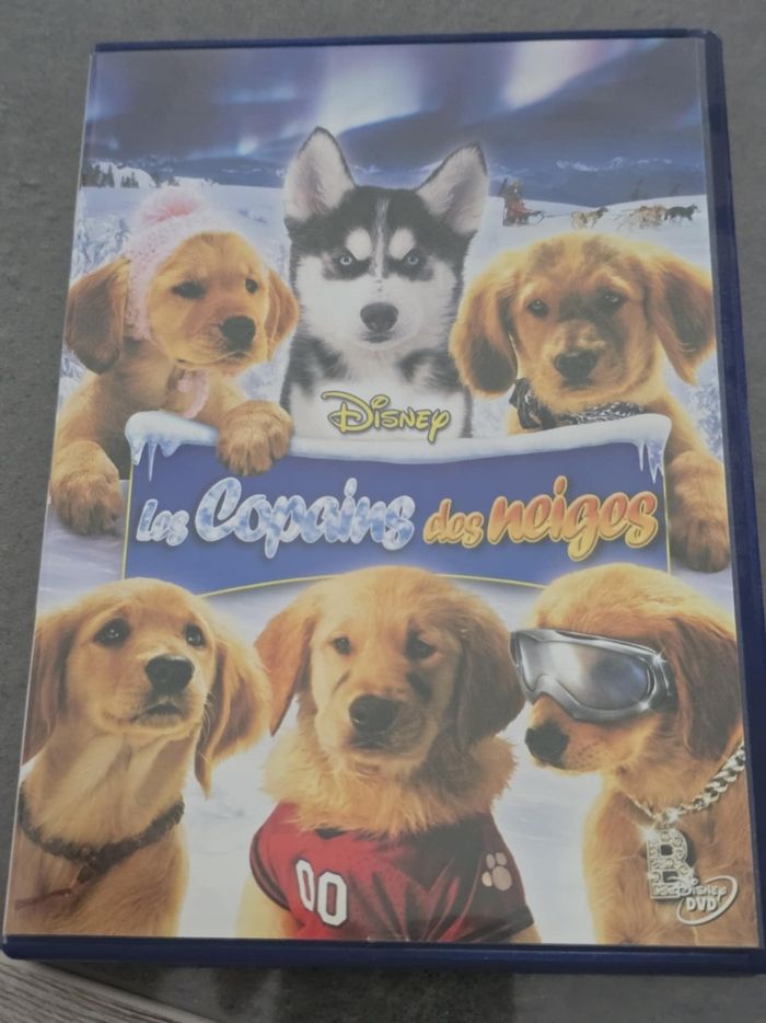 Les copains des neiges