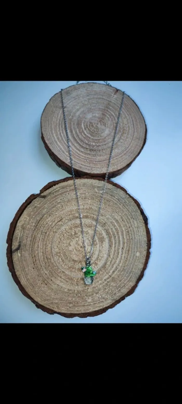 Collier cactus - photo numéro 2