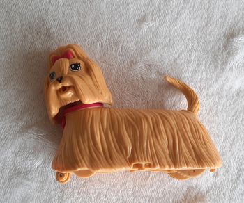 Petit chien qui roule