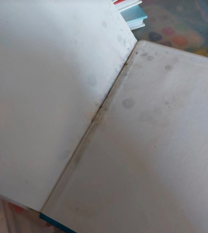 Livre cendrillon - photo numéro 4