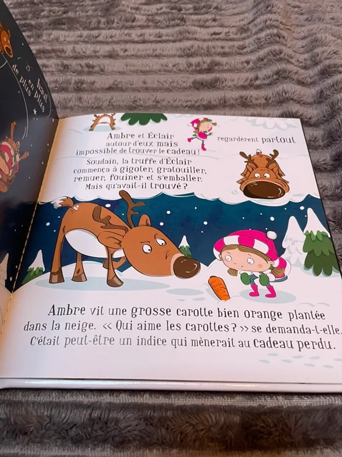 Livre - Ambre - photo numéro 3