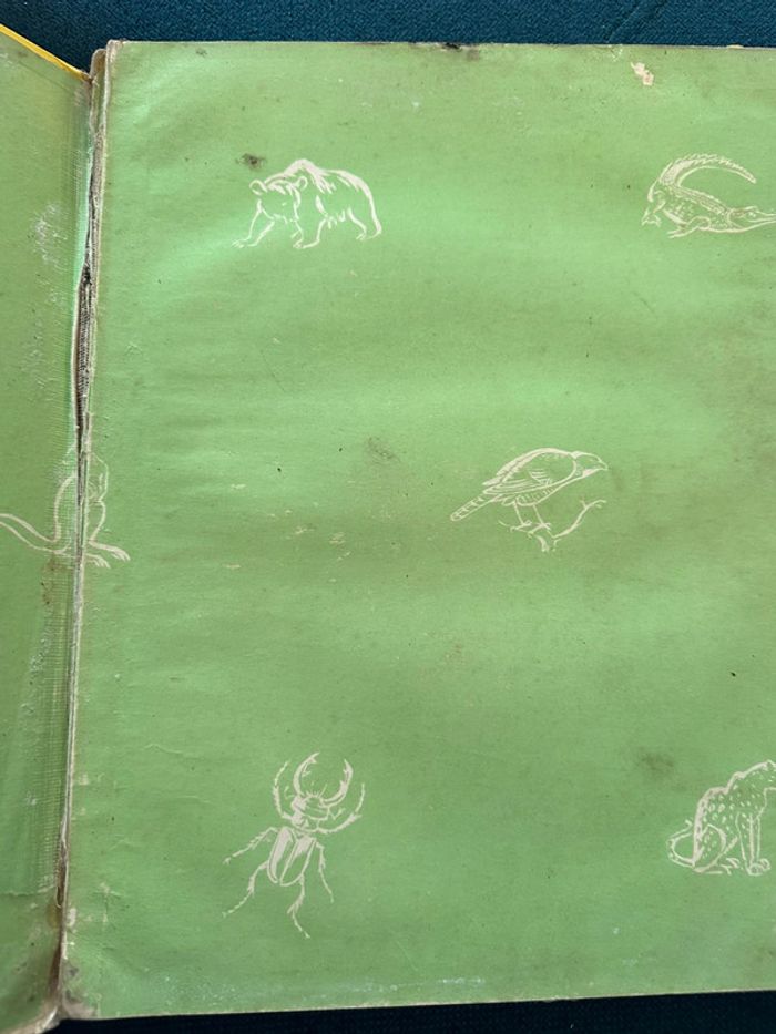 Grand album Hachette livre encyclopédie couleurs Le Monde des Animaux Pierre Probst (Caroline) - photo numéro 4