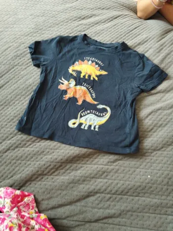 Tee shirt dinosaures
