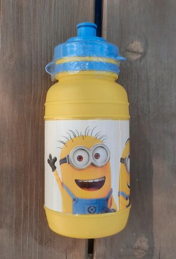 Gourde Minions