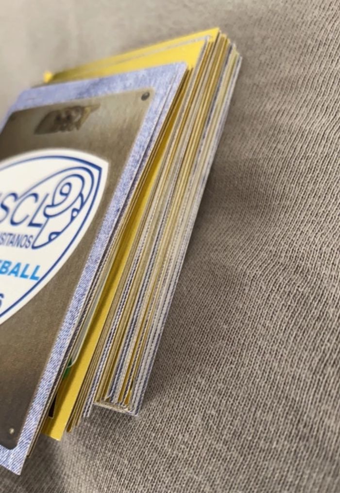 Carte paninis - photo numéro 2