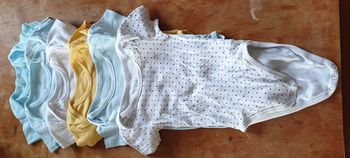 Lot 6 bodies