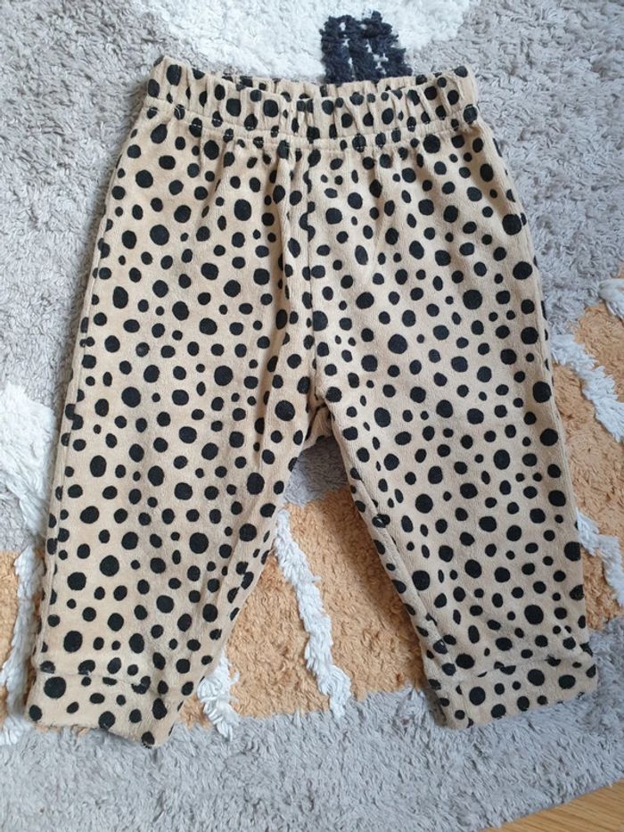 Ensemble - photo numéro 5