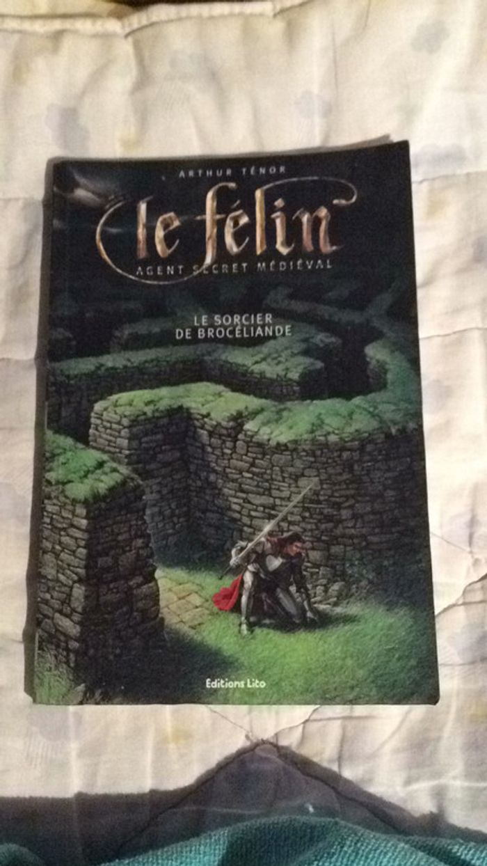 #le félin agent secret médiéval, le sorcier de Brocéliande par Arthur Ténor