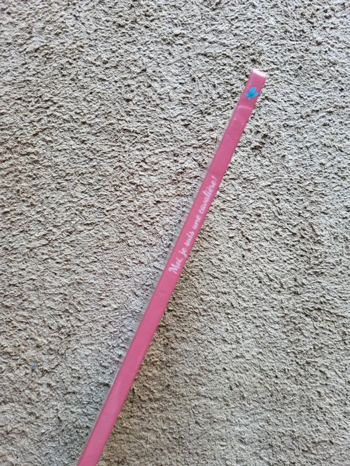 Livre interactif pour les enfants Moi, je suis une cavalière de Karine-Marie Amiot - photo numéro 4