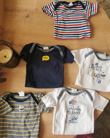 Lot 5 bodies absorba MC 9 mois parfait état