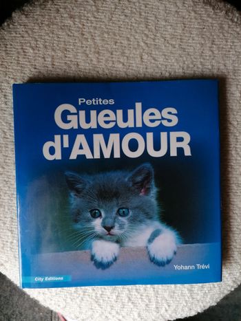 Livre neuf sur les chatons, magnifiques photos
