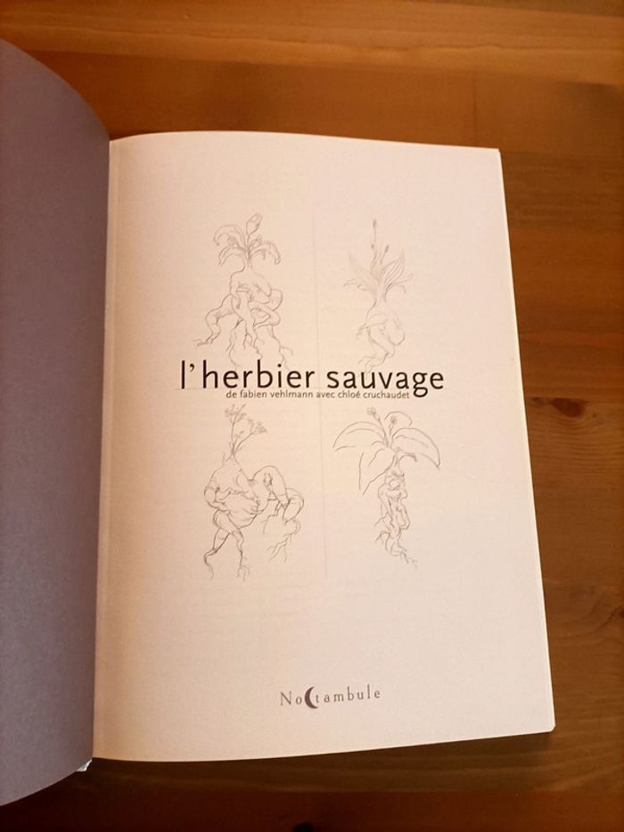 Lherbier sauvage Fabien vehlmann - photo numéro 3