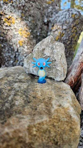 Super figurine Pokemon Nintendo tomy C.G.T.S.J hypotrempe