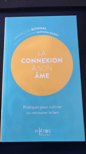 La connexion à son âme