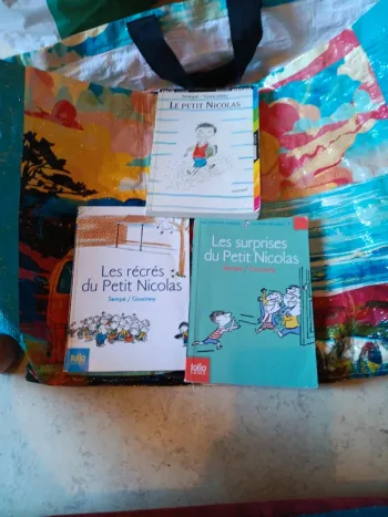 Lot livres le petit Nicolas traces d'usures visible pas vinted go