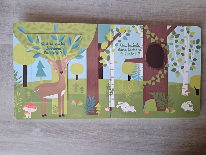 Livre flaps qui se cache ici ? - photo numéro 3